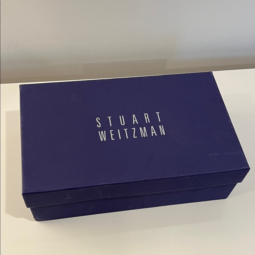Stuart Weitzman Deep Purple Shoe Box